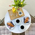 Cozy With Secret Garden *